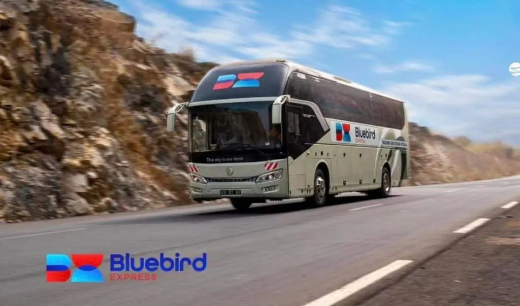 Bus Bluebird Express sur la route