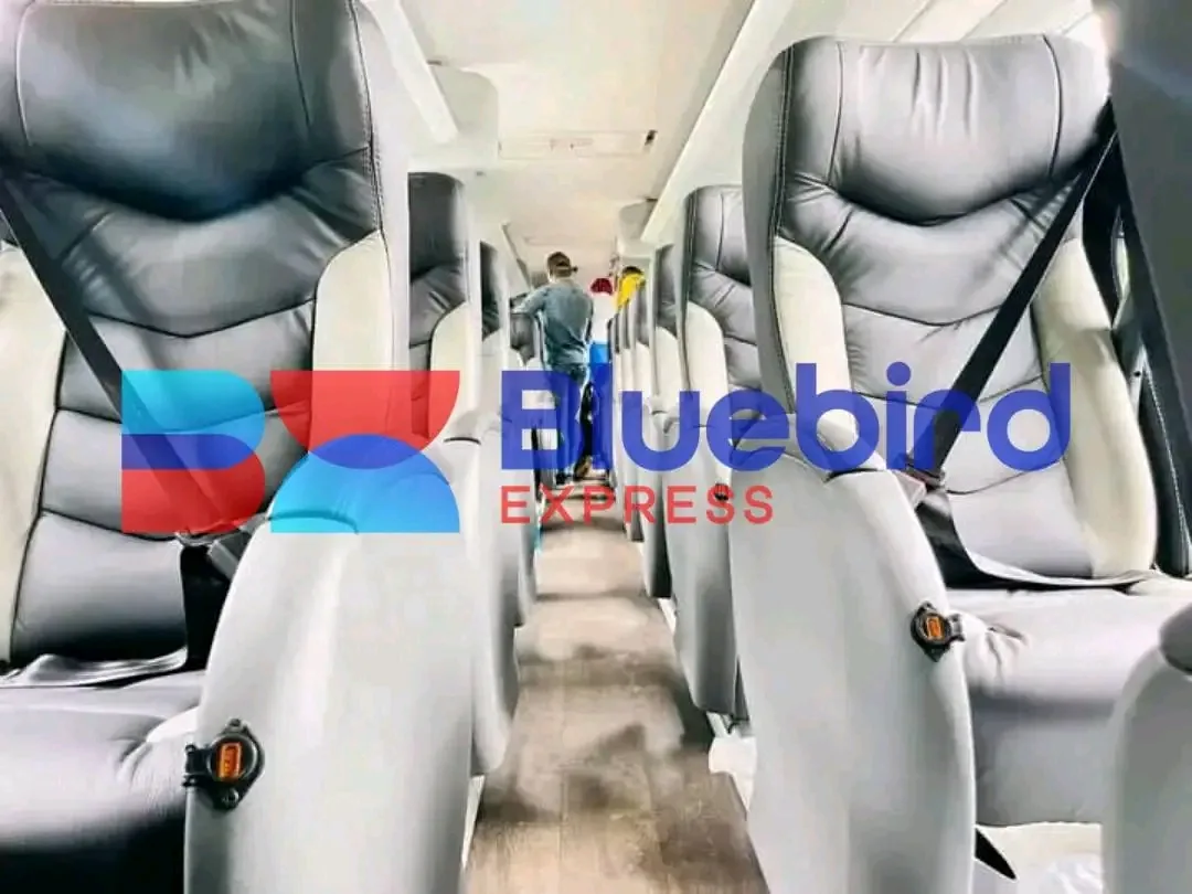 Sièges cuir à bord d'un bus Bluebird Express